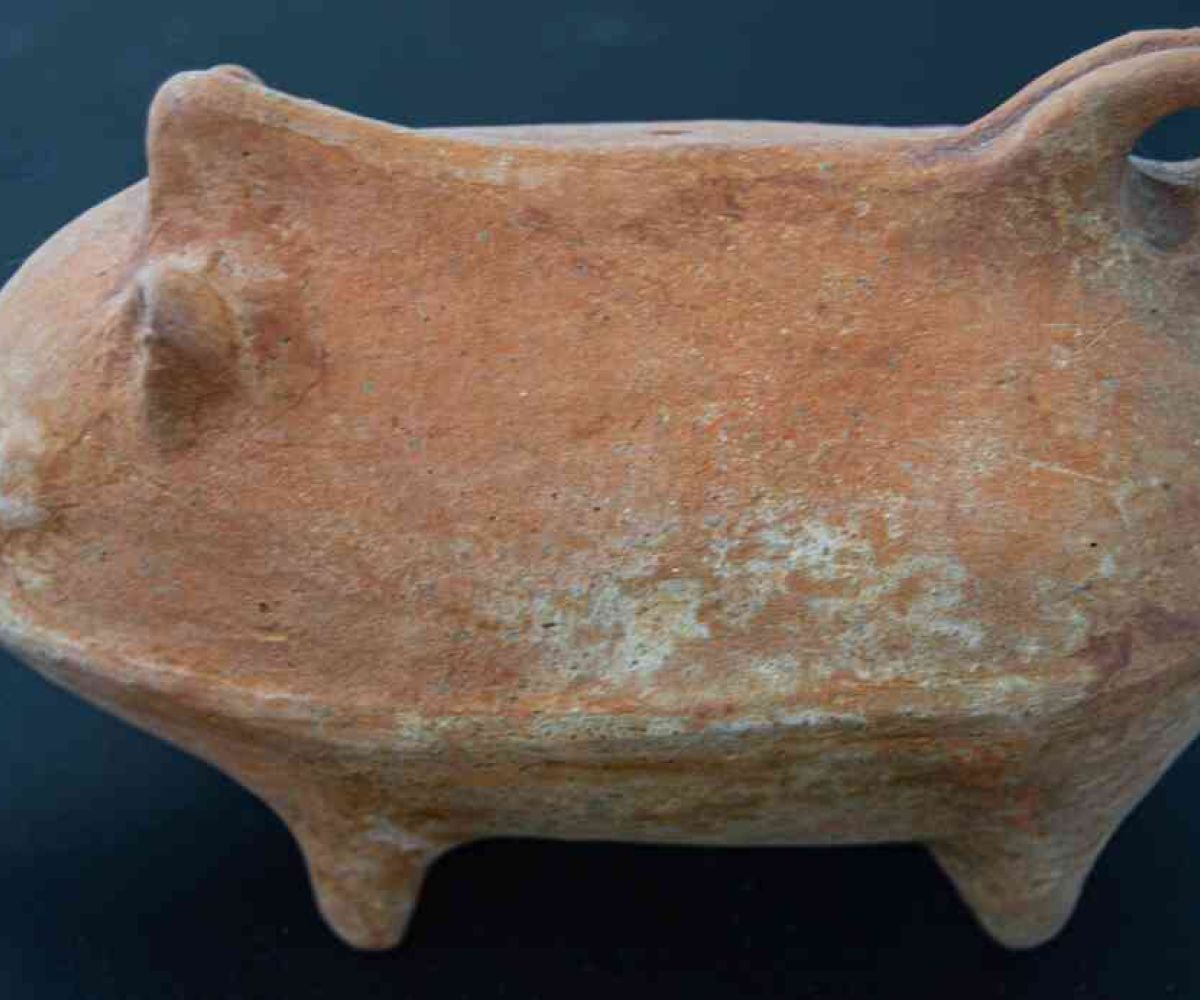 Maialino terracotta